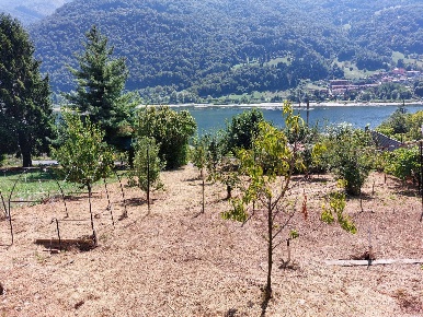 Foto Terreno residenziale in VIA REPUBBLICA 1, Endine Gaiano Endine