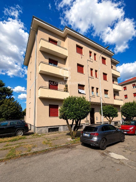 immagine annuncio 9 di 12