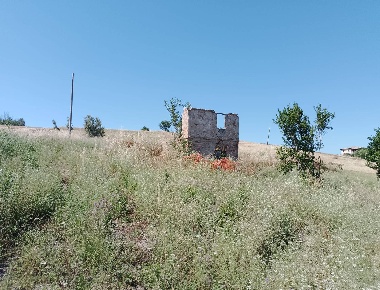 Foto Terreno agricolo a Sant'Omero di 5800 m² in vendita