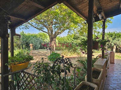Foto Rustico a Grosseto Braccagni di 160 m² con 7 locali in vendita