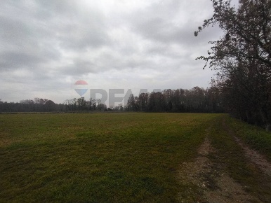Foto Terreno agricolo in via dei boschi sn, Lurano di 23388 m² in vendita