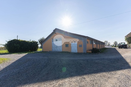 Foto Magazzino in VIA GOITO, Ghedi di 800 m² in affitto