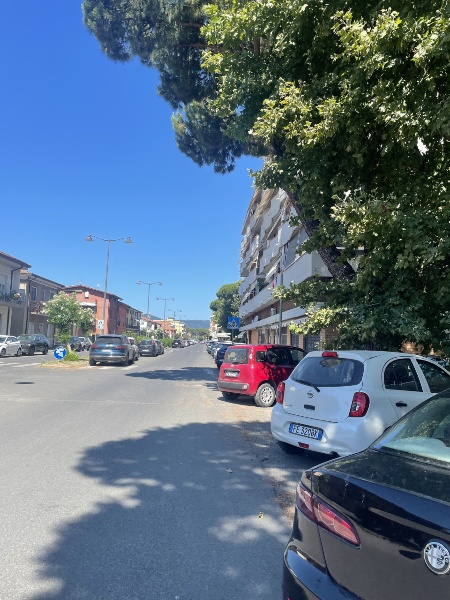 immagine annuncio 6 di 8