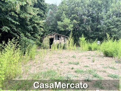 Foto Rustico a Grottaferrata di 21 m² con 1 locali in vendita