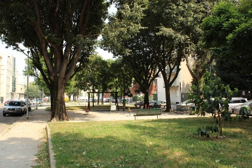 immagine annuncio 11 di 12