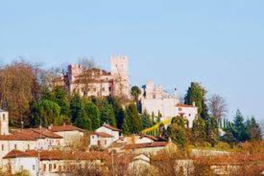 immagine annuncio 14 di 15