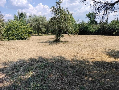 Foto Terreno agricolo a Firenze Brozzi di 2400 m² in vendita