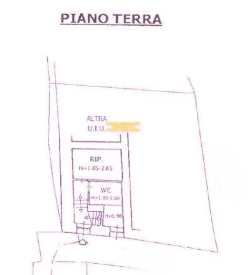 immagine annuncio 4 di 11