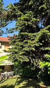 Foto Villa a schiera a Fiorano Modenese Fiorano di 160 m² con 5 locali