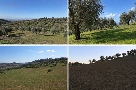 Foto Terreno agricolo in Via Dell'Acquedotto snc, Tortoreto Centro