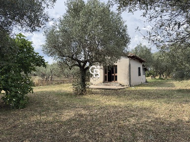 Foto Casa indipendente in Località Pian di San Martino snc, Vetralla