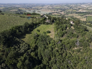 Foto Terreno agricolo in Contrada San Biagio 2, Montecarotto di 16960 m²