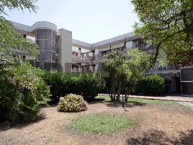 Foto Appartamento in Viale dei Pini B/2, Noicattaro di 111 m² con 3 locali