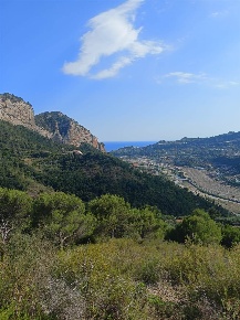 Foto Terreno edificabile a Camporosso di 17000 m² in vendita