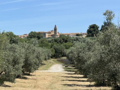 Foto Rustico a Magliano in Toscana Centro di 100 m² con 5 locali in vendita