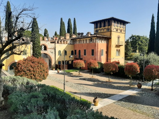immagine annuncio 8 di 15