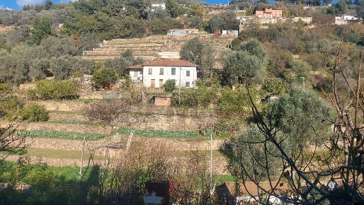 Foto Case semi ndipendenti in Via Peiranze, Sanremo Verezzo di 118 m²