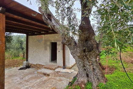 Foto Villa unifamiliare in Macchiaria SNC, Vieste di 44 m² con 2 locali