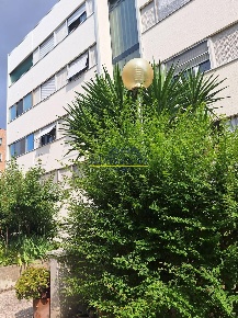 Foto Appartamento a Pisa Pisanova - Pardi di 122 m² con 5 locali in vendita