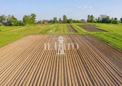 Foto Terreno agricolo a Campi Bisenzio Centro di 500 m² in vendita
