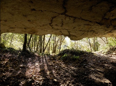 Foto Terreno agricolo a San Severino Marche in vendita