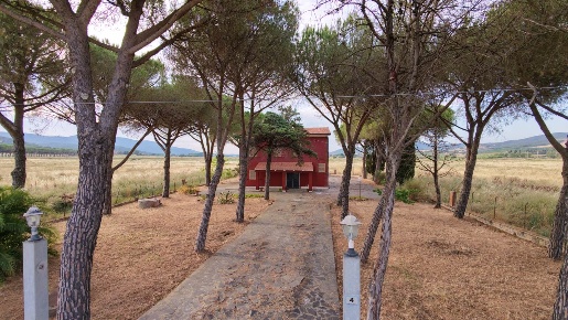 Foto Rustico a Orbetello di 165 m² con 10 locali in vendita