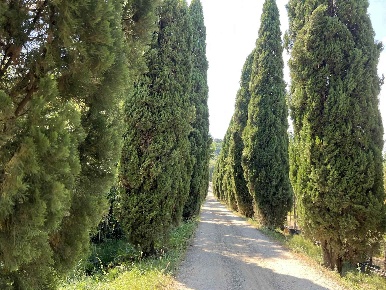 Foto Appartamento a Pistoia Barile - Spazzavento di 130 m² con 4 locali
