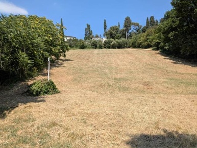 Foto Terreno agricolo a Bagno a Ripoli Grassina di 5000 m² in vendita