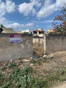 Foto Terreno agricolo in Via Monsignor Paladini 4, Carmiano Centro
