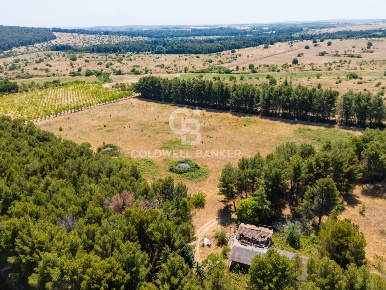 Foto Rustico in CONTRADA CASTEL DEL MONTE SN, Andria di 220 m² con 4 locali