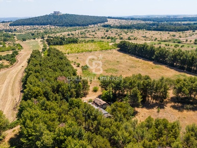 Foto Rustico in CONTRADA CASTEL DEL MONTE SN, Andria di 220 m² con 4 locali