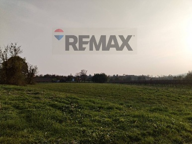 Foto Terreno agricolo in Via Faliero 1, San Fior di 6400 m² in vendita