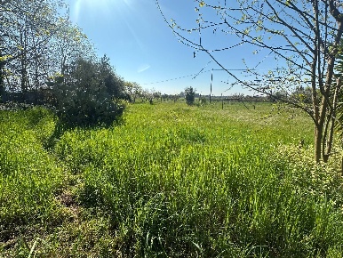 Foto Terreno residenziale in VIA SILVAGNI, Capua Centro di 9500 m²
