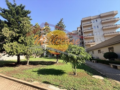 Foto Appartamento in VIALE SCALA GRECA, Siracusa Scala Greca - Neapolis