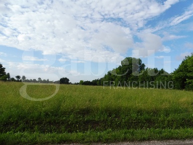 Foto Terreno residenziale a Marostica San Vito di 3600 m² in vendita