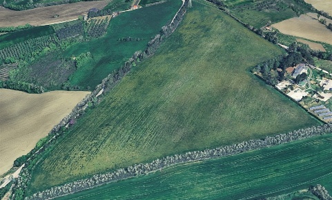 Foto Terreno agricolo a Pesaro in vendita