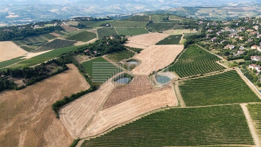 Foto Terreno agricolo a Imola in vendita