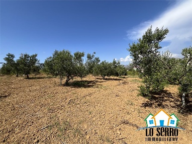 Foto Rustico a Partinico di 150 m² con 1 locali in vendita