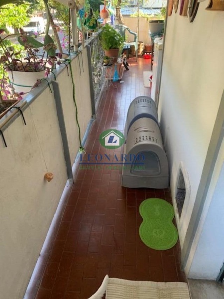 immagine annuncio 7 di 14