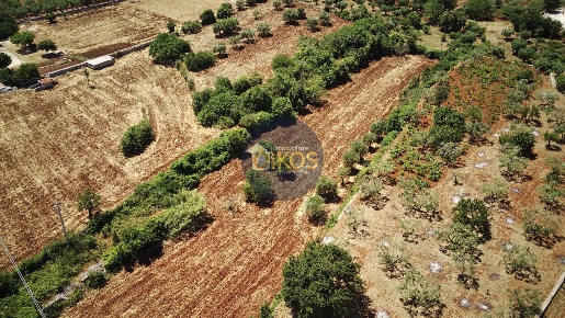 Foto Terreno agricolo in contrada Aratico snc, Monopoli di 9033 m²