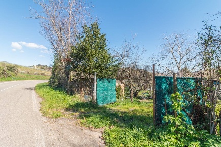 Foto Terreno agricolo in Pereta Ovest snc, Magliano in Toscana di 22577 m²