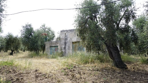 Foto Rustico in Località Focareta SNC, Vieste di 70 m² con 1 locali