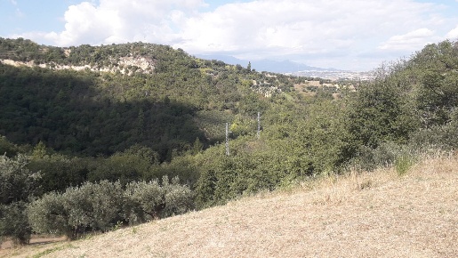 Foto Terreno agricolo in Contrada Cugnoli, Turrivalignani di 4550 m²