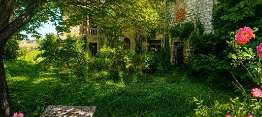 immagine annuncio 5 di 9