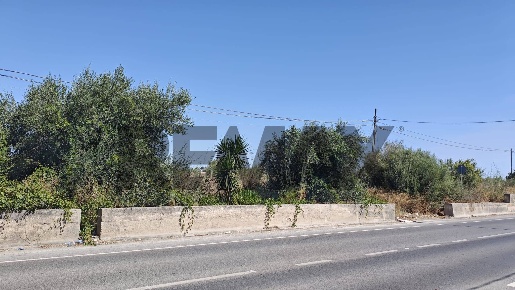 Foto Terreno agricolo in viale Sebastiano Fortuna sn, Pachino di 3438 m²