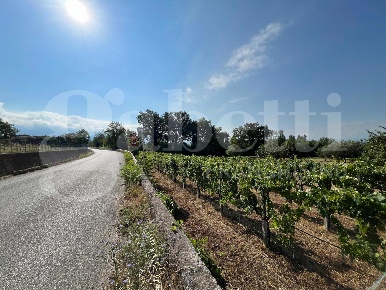 Foto Terreno agricolo in Via Fontanelle snc, Alife Centro di 5165 m²