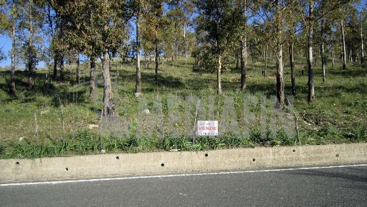 Foto Terreno agricolo in SS 531 snc, Calopezzati di 30290 m² in vendita