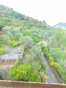 Foto Terreno agricolo in via Vitale, Pellezzano Centro di 2800 m²