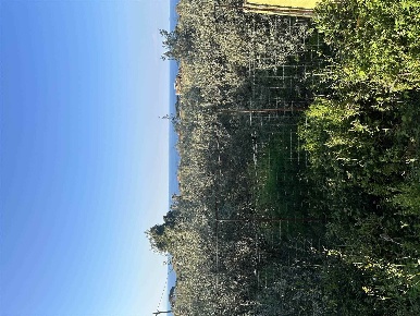 Foto Appartamento in SS113  88/90, Messina Acqualadrone - Spartà di 65 m²