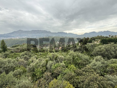 Foto Terreno agricolo in CONTRADA GROTTE SNC, Monreale Centro di 10000 m²